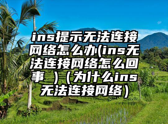 ins提示无法连接网络怎么办(ins无法连接网络怎么回事 )（为什么ins无法连接网络）