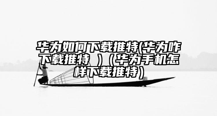 华为如何下载推特(华为咋下载推特 )（华为手机怎样下载推特）