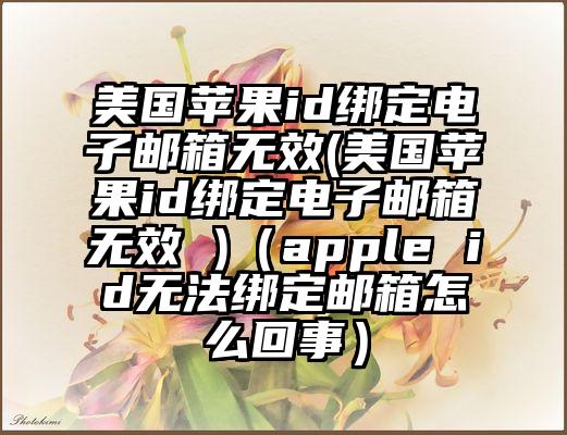 美国苹果id绑定电子邮箱无效(美国苹果id绑定电子邮箱无效 )（apple id无法绑定邮箱怎么回事）
