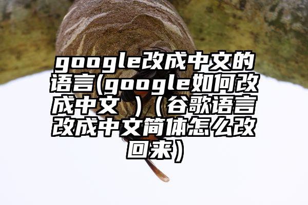 google改成中文的语言(google如何改成中文 )（谷歌语言改成中文简体怎么改回来）