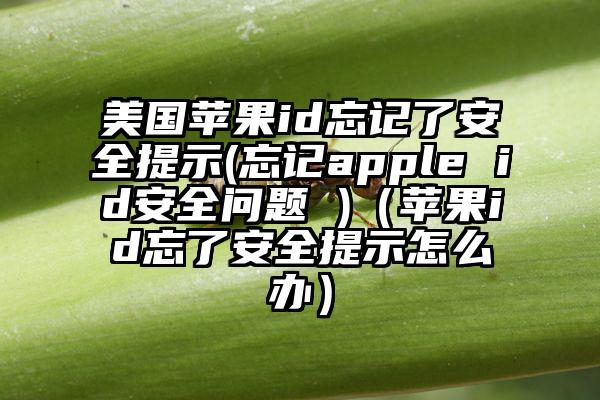 美国苹果id忘记了安全提示(忘记apple id安全问题 )(苹果id忘了安全提示怎么办)
