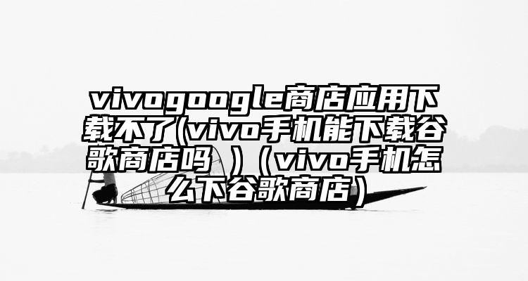 vivogoogle商店应用下载不了(vivo手机能下载谷歌商店吗 )（vivo手机怎么下谷歌商店）