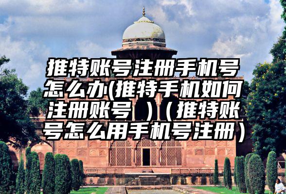 推特账号注册手机号怎么办(推特手机如何注册账号 )（推特账号怎么用手机号注册）