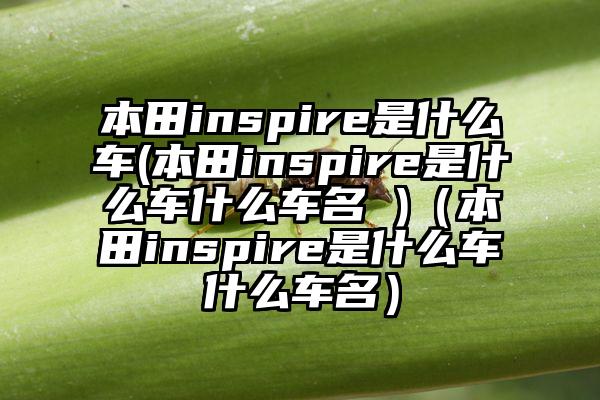 本田inspire是什么车(本田inspire是什么车什么车名 )（本田inspire是什么车什么车名）