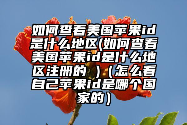 如何查看美国苹果id是什么地区(如何查看美国苹果id是什么地区注册的 )（怎么看自己苹果id是哪个国家的）