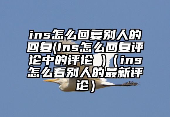 ins怎么回复别人的回复(ins怎么回复评论中的评论 )（ins怎么看别人的最新评论）