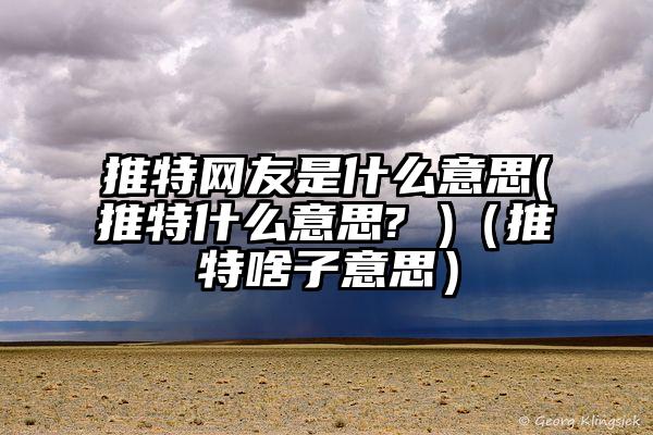 推特网友是什么意思(推特什么意思? )（推特啥子意思）