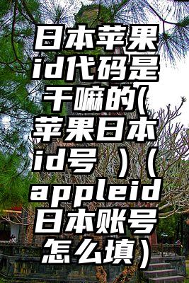日本苹果id代码是干嘛的(苹果日本id号 )（appleid日本账号怎么填）