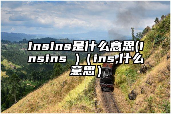 insins是什么意思(Insins )（ins,什么意思）