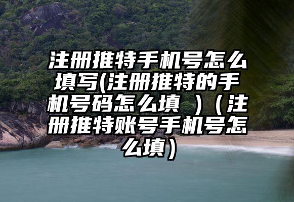 注册推特手机号怎么填写(注册推特的手机号码怎么填 )（注册推特账号手机号怎么填）