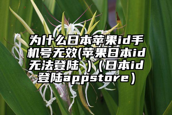 为什么日本苹果id手机号无效(苹果日本id无法登陆 )（日本id登陆appstore）