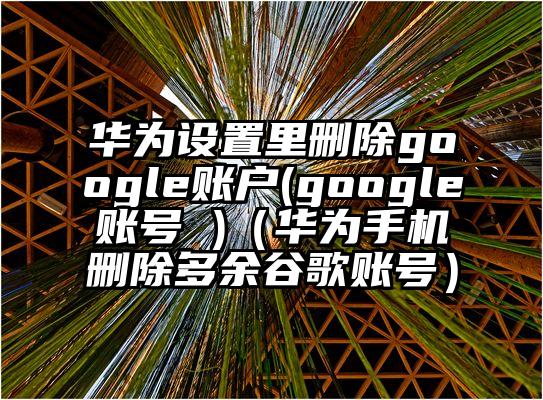 华为设置里删除google账户(google账号 )（华为手机删除多余谷歌账号）