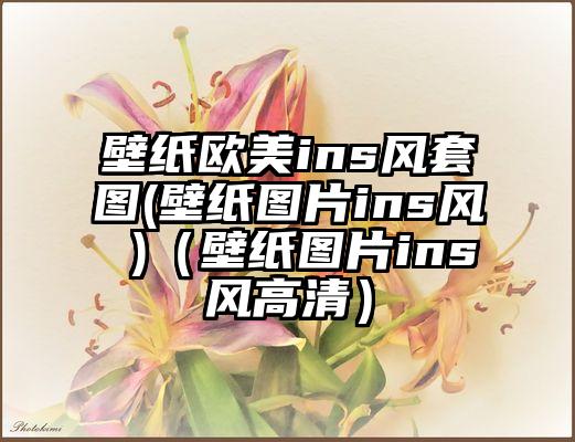 壁纸欧美ins风套图(壁纸图片ins风 )（壁纸图片ins风高清）