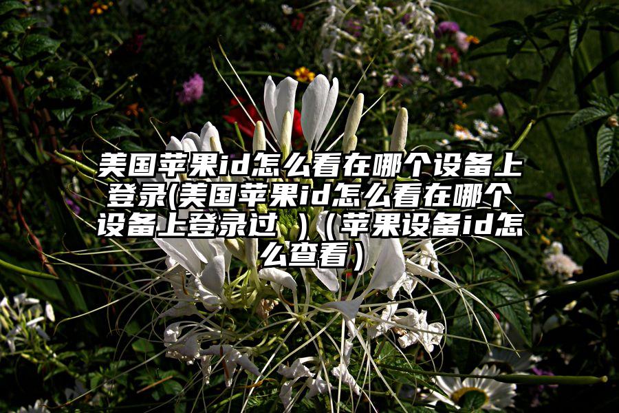 美国苹果id怎么看在哪个设备上登录(美国苹果id怎么看在哪个设备上登录过 )（苹果设备id怎么查看）