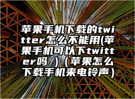 苹果手机下载的twitter怎么不能用(苹果手机可以下twitter吗 )（苹果怎么下载手机来电铃声）