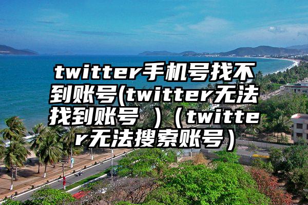 twitter手机号找不到账号(twitter无法找到账号 )（twitter无法搜索账号）