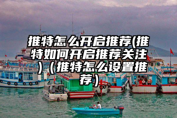 推特怎么开启推荐(推特如何开启推荐关注 )（推特怎么设置推荐）