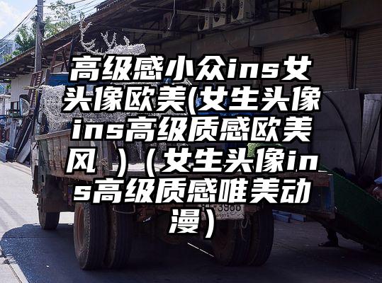 高级感小众ins女头像欧美(女生头像ins高级质感欧美风 )（女生头像ins高级质感唯美动漫）