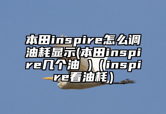 本田inspire怎么调油耗显示(本田inspire几个油 )（inspire看油耗）