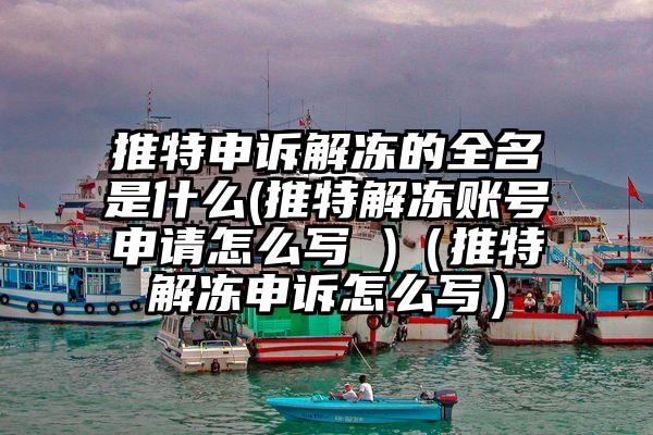 推特申诉解冻的全名是什么(推特解冻账号申请怎么写 )（推特解冻申诉怎么写）