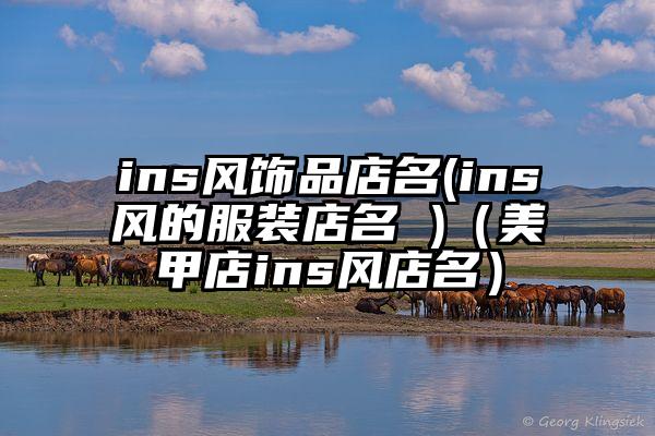 ins风饰品店名(ins风的服装店名 )（美甲店ins风店名）