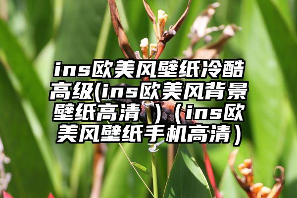 ins欧美风壁纸冷酷高级(ins欧美风背景壁纸高清 )（ins欧美风壁纸手机高清）