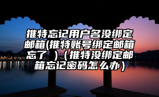 推特忘记用户名没绑定邮箱(推特账号绑定邮箱忘了 )（推特没绑定邮箱忘记密码怎么办）