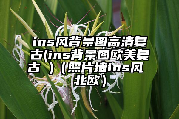 ins风背景图高清复古(ins背景图欧美复古 )（照片墙ins风 北欧）