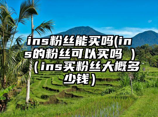 ins粉丝能买吗(ins的粉丝可以买吗 )（ins买粉丝大概多少钱）