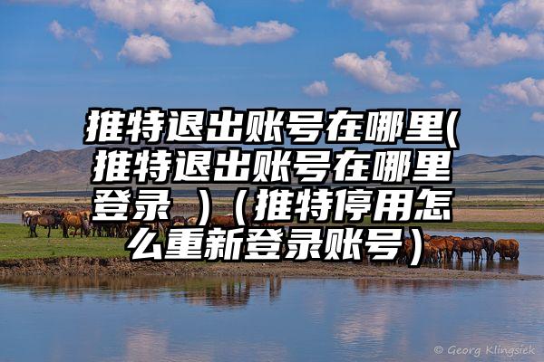 推特退出账号在哪里(推特退出账号在哪里登录 )（推特停用怎么重新登录账号）
