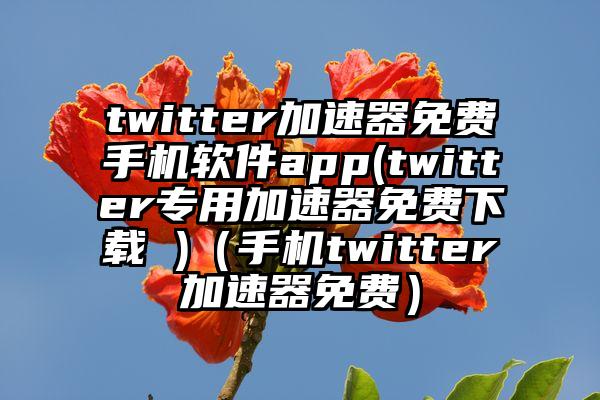 twitter加速器免费手机软件app(twitter专用加速器免费下载 )（手机twitter加速器免费）