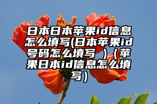 日本日本苹果id信息怎么填写(日本苹果id号码怎么填写 )（苹果日本id信息怎么填写）