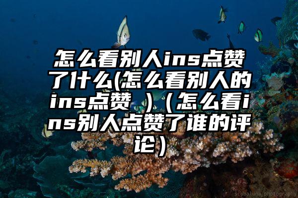 怎么看别人ins点赞了什么(怎么看别人的ins点赞 )（怎么看ins别人点赞了谁的评论）