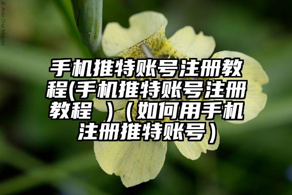 手机推特账号注册教程(手机推特账号注册教程 )（如何用手机注册推特账号）