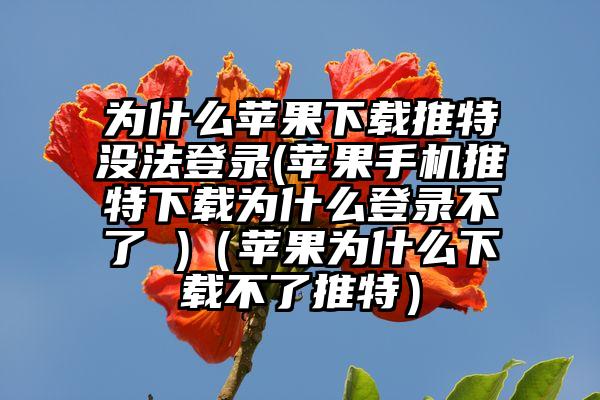 为什么苹果下载推特没法登录(苹果手机推特下载为什么登录不了 )（苹果为什么下载不了推特）