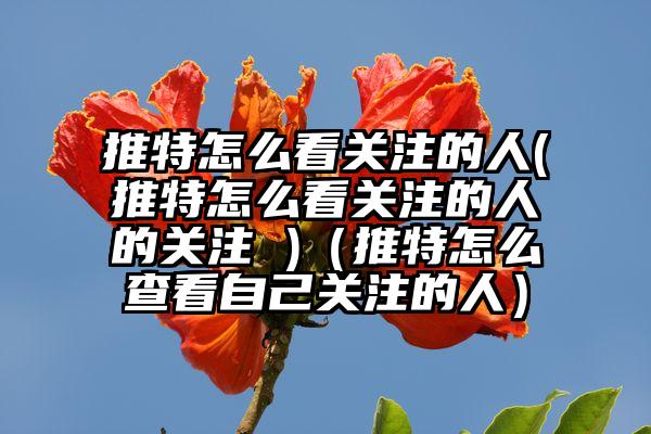 推特怎么看关注的人(推特怎么看关注的人的关注 )（推特怎么查看自己关注的人）