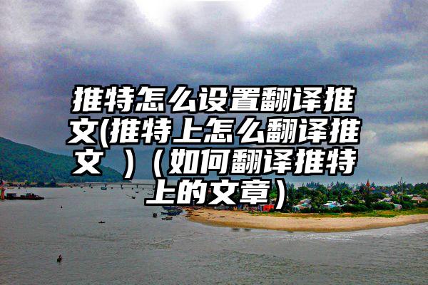 推特怎么设置翻译推文(推特上怎么翻译推文 )（如何翻译推特上的文章）