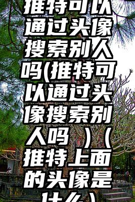 推特可以通过头像搜索别人吗(推特可以通过头像搜索别人吗 )（推特上面的头像是什么）