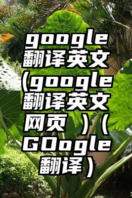 google翻译英文(google翻译英文网页 )（GOogle翻译）