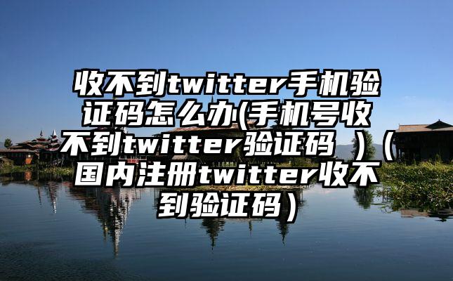 收不到twitter手机验证码怎么办(手机号收不到twitter验证码 )（国内注册twitter收不到验证码）