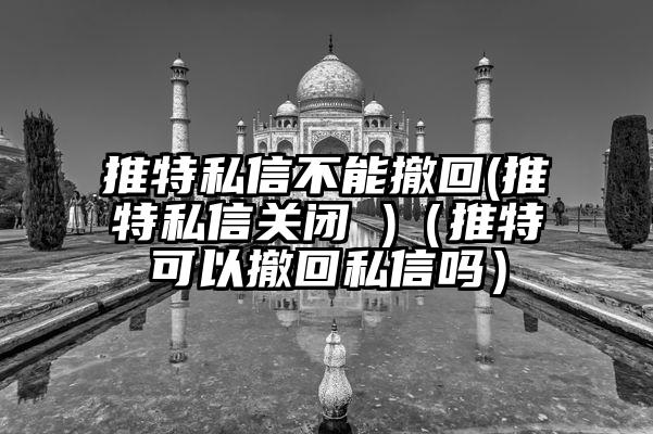 推特私信不能撤回(推特私信关闭 )（推特可以撤回私信吗）