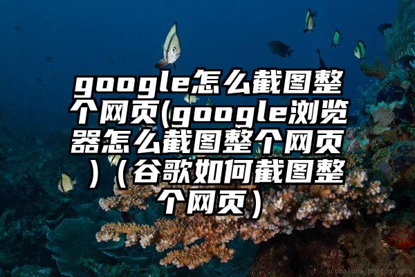 google怎么截图整个网页(google浏览器怎么截图整个网页 )（谷歌如何截图整个网页）