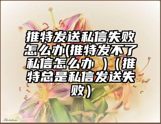 推特发送私信失败怎么办(推特发不了私信怎么办 )（推特总是私信发送失败）