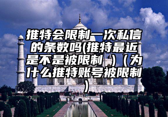 推特会限制一次私信的条数吗(推特最近是不是被限制 )（为什么推特账号被限制）