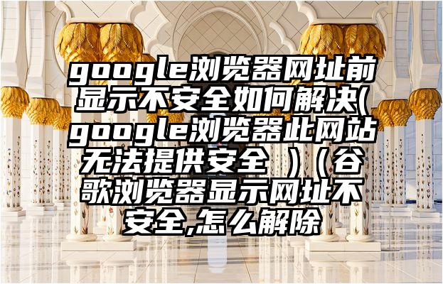 google浏览器网址前显示不安全如何解决(google浏览器此网站无法提供安全 )（谷歌浏览器显示网址不安全,怎么解除