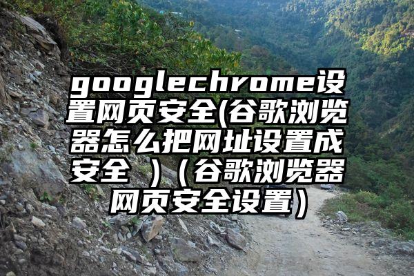 googlechrome设置网页安全(谷歌浏览器怎么把网址设置成安全 )（谷歌浏览器网页安全设置）