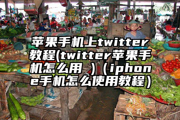 苹果手机上twitter教程(twitter苹果手机怎么用 )（iphone手机怎么使用教程）