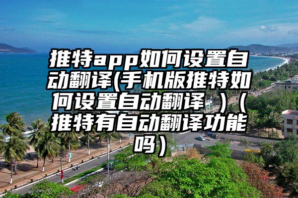 推特app如何设置自动翻译(手机版推特如何设置自动翻译 )（推特有自动翻译功能吗）