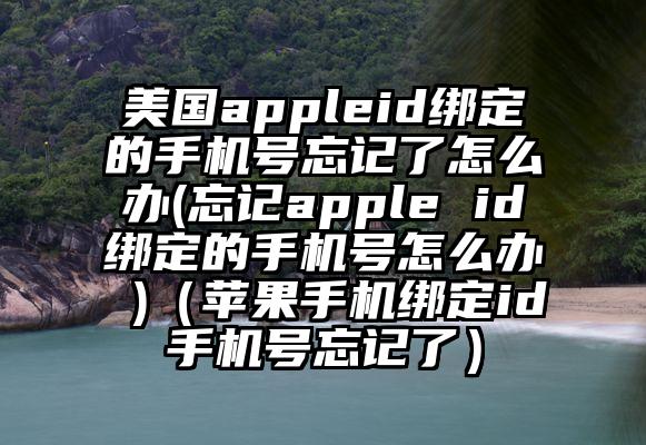 美国appleid绑定的手机号忘记了怎么办(忘记apple id绑定的手机号怎么办 )（苹果手机绑定id手机号忘记了）