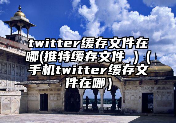 twitter缓存文件在哪(推特缓存文件 )（手机twitter缓存文件在哪）